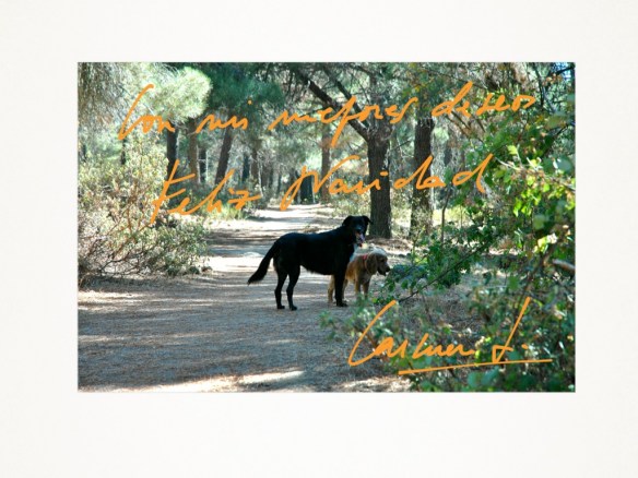 Christmas 2012 unmundoparacurra