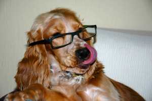 Wilma-con-gafas-unmundopara