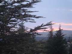 poblachón-unmundoparacurra