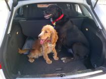 Curra et Wilma ds la bagnole