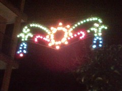 Araña unmundoparacurra