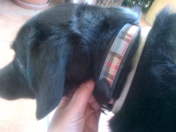 Collar Curra cuadros