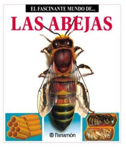 Las abejas de MªAngels Juivert