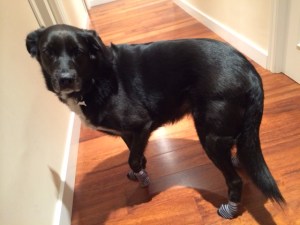 Curra antideslizante