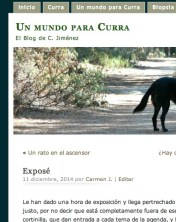 foto blog unmundoparacurra