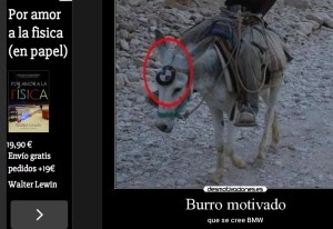 burro motivado